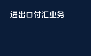进出口付汇业务