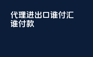 代理进出口谁付汇谁付款