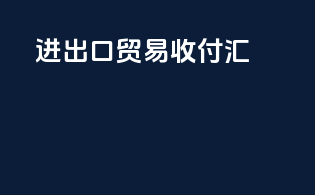 进出口贸易收付汇