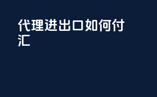 代理进出口如何付汇