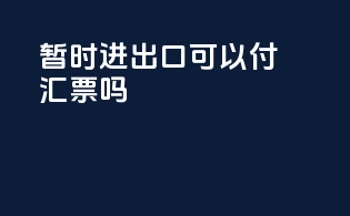 暂时进出口可以付汇票吗