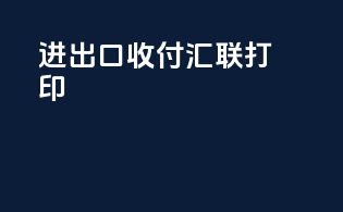 进出口收付汇联打印
