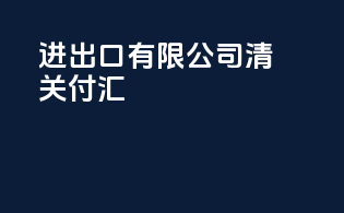 进出口有限公司清关付汇