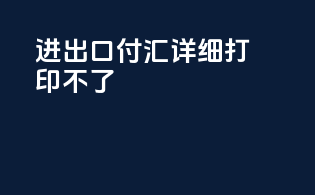 进出口付汇详细打印不了