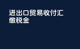 进出口贸易收付汇缴税金
