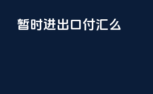 暂时进出口付汇么