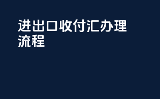 进出口收付汇办理流程