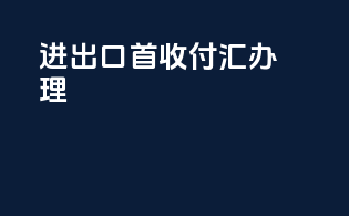 进出口首收付汇办理