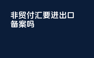 非贸付汇要进出口备案吗