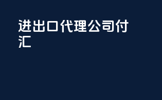 进出口代理公司付汇
