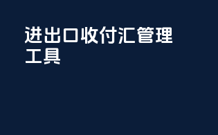进出口收付汇管理工具