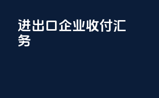 进出口企业收付汇务