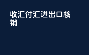 收汇付汇进出口核销