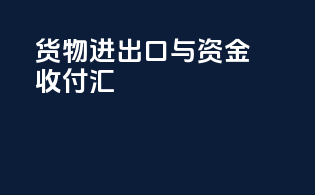 货物进出口与资金收付汇