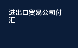 进出口贸易公司付汇