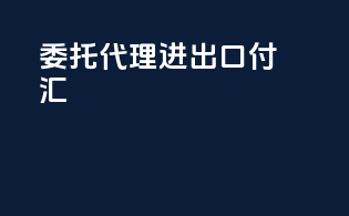 委托代理进出口付汇
