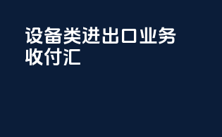 设备类进出口业务收付汇