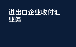 进出口企业收付汇业务