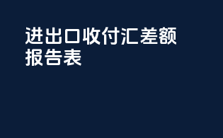 进出口收付汇差额报告表