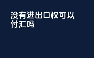 没有进出口权可以付汇吗
