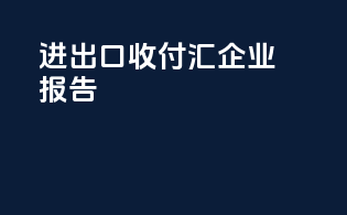 进出口收付汇企业报告
