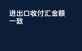 进出口收付汇金额一致