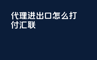 代理进出口怎么打付汇联