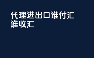 代理进出口谁付汇谁收汇