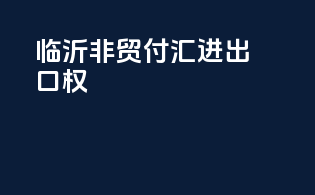 临沂非贸付汇进出口权