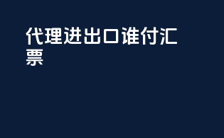 代理进出口谁付汇票