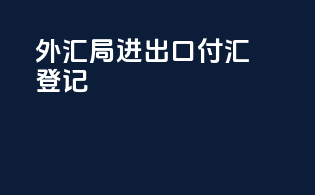 外汇局进出口付汇登记