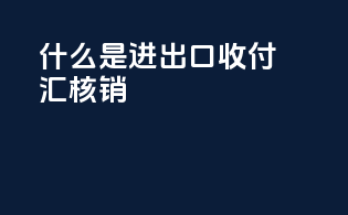 什么是进出口收付汇核销