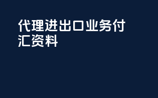 代理进出口业务付汇资料