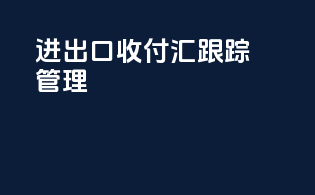 进出口收付汇跟踪管理
