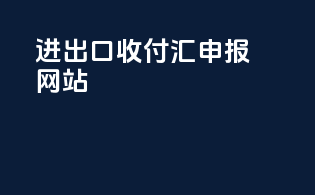 进出口收付汇申报网站