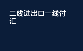 二线进出口 一线付汇