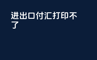 进出口付汇打印不了
