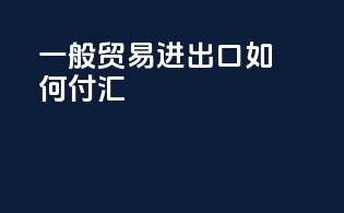 一般贸易进出口如何付汇