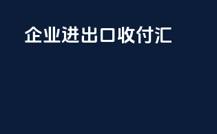 企业进出口收付汇
