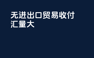 无进出口贸易收付汇量大