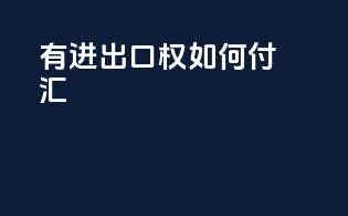 有进出口权如何付汇