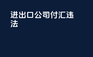 进出口公司付汇违法