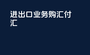进出口业务购汇付汇