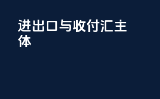 进出口与收付汇主体