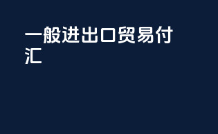 一般进出口贸易 付汇