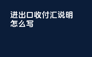 进出口收付汇说明怎么写