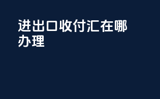 进出口收付汇在哪办理