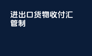 进出口货物收付汇管制