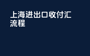 上海进出口收付汇流程