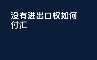没有进出口权如何付汇